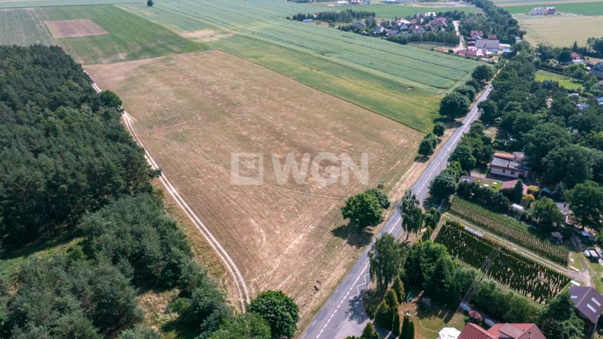 Radzewice, 829 000 zł, 94.3 ar, bez nasadzeń miniaturka 9