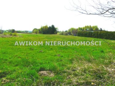 Budy Chojnackie, 280 000 zł, 3.3 ha, rolna