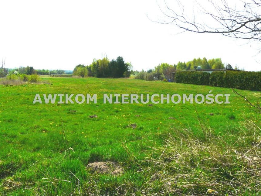 Budy Chojnackie, 280 000 zł, 3.3 ha, rolna - zdjęcie 1