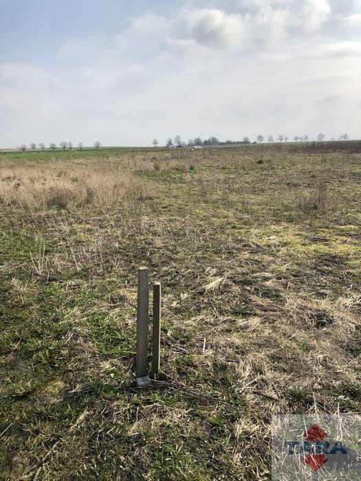 Działka budowlana w Gąsawie miniaturka 6