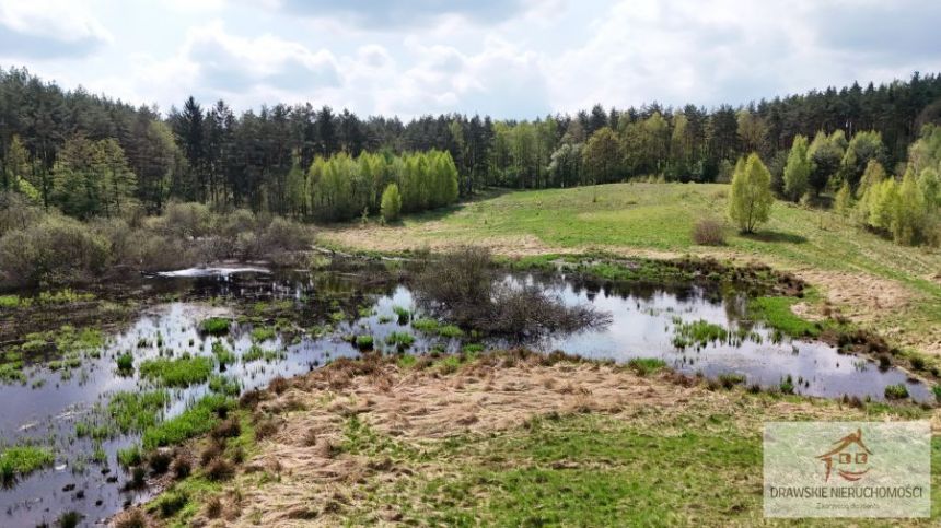 Rzepowo, 495 000 zł, 3.15 ha, rolna miniaturka 4