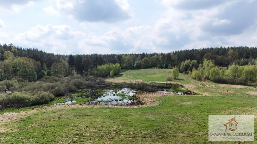 Rzepowo, 495 000 zł, 3.15 ha, rolna miniaturka 14