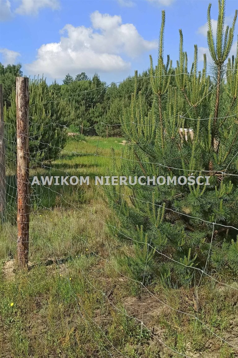 Stare Budy, 400 000 zł, 15.04 ar, woda w drodze miniaturka 2