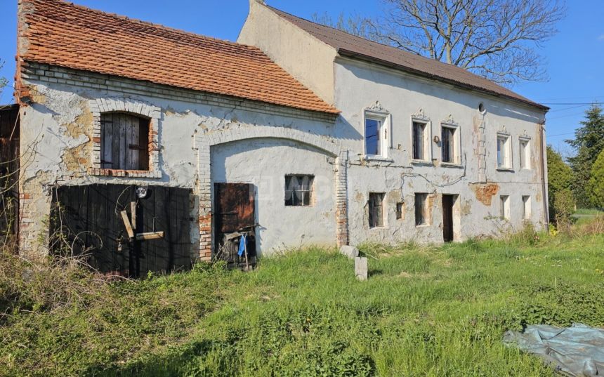 Kochlice, 219 000 zł, 280 m2, jednorodzinny - zdjęcie 1