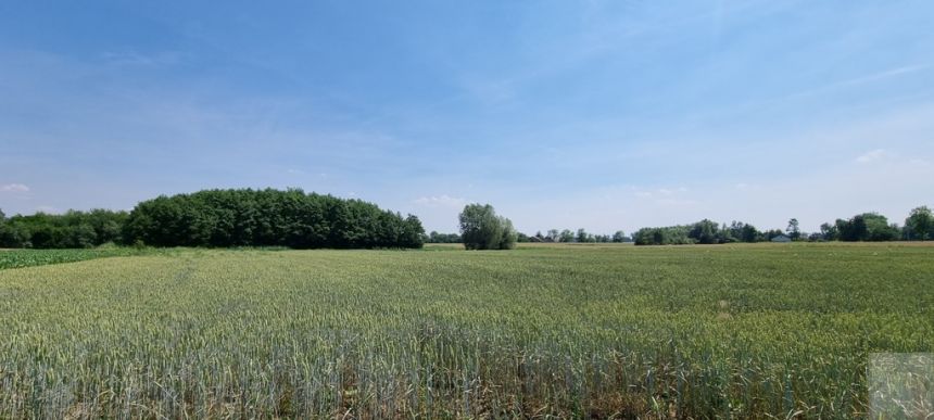 Działka budowlana 12 ar Jarosław Łazy Kostkowskie miniaturka 4