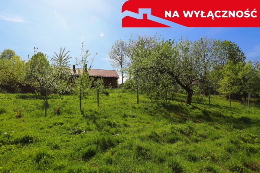 Działka rolno-budowlana z lasem miniaturka 11