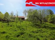 Działka rolno-budowlana z lasem miniaturka 11