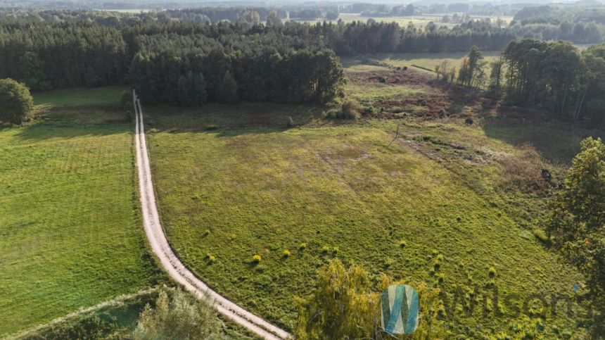 Bieliny, 500 000 zł, 2.49 ha, droga dojazdowa asfaltowa miniaturka 7