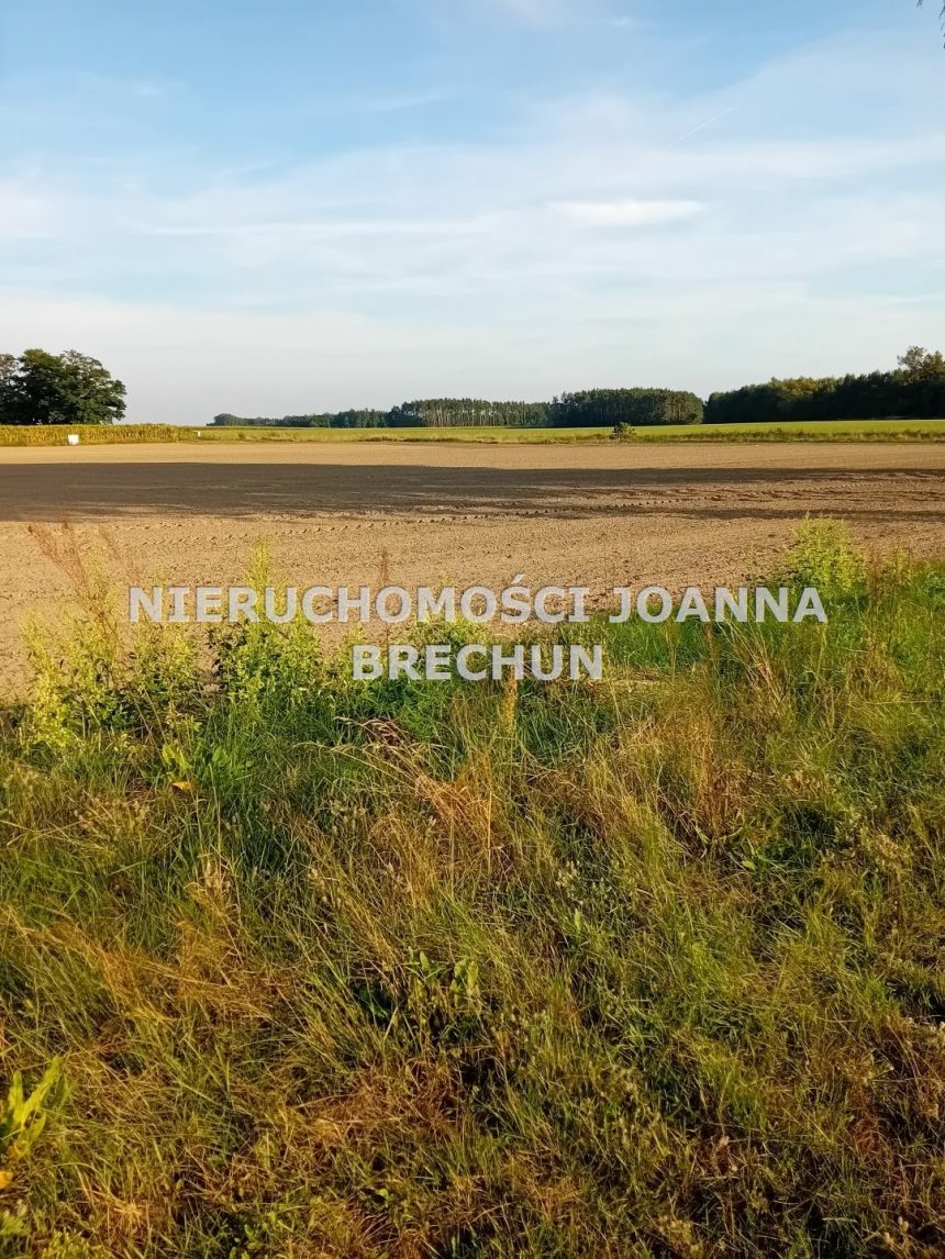 Nieciszów, 205 000 zł, 10 ar, budowlana - zdjęcie 1