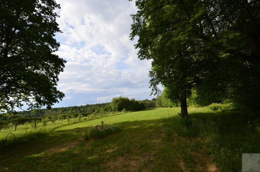 Działki na pięknym roztoczu Krzywe - Horyniec Zdró miniaturka 5