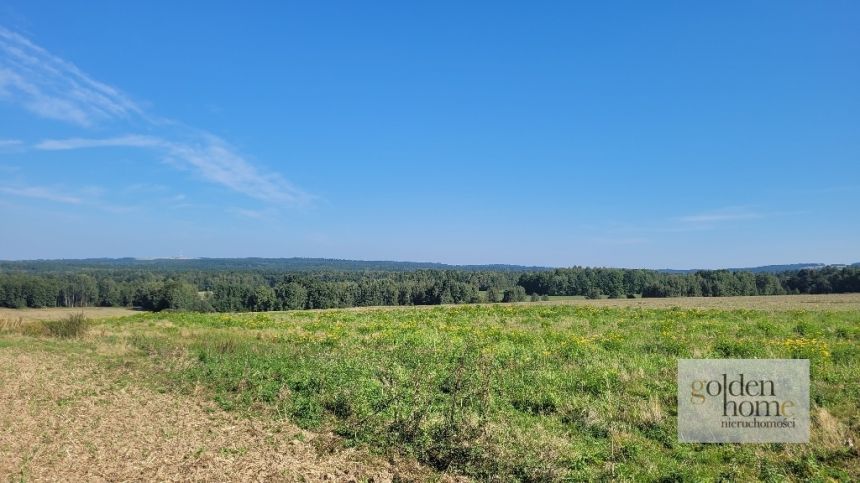 Krzewie Wielkie, 91 275 zł, 12.17 ar, przyłącze prądu miniaturka 11