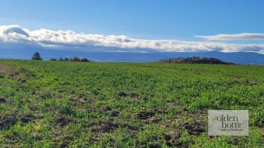 Gryfów Śląski, 71 640 zł, 11.94 ar, w kształcie trapezu