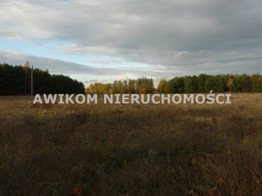 Puszcza Mariańska, 83 930 zł, 11.99 ar, budowlana