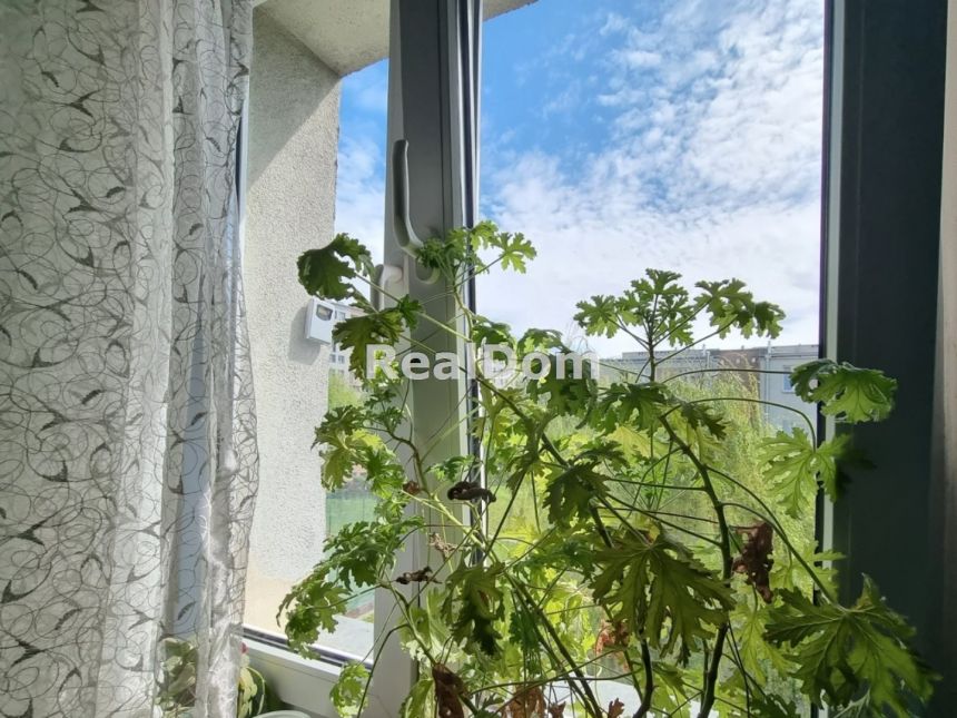 Krowodrza Azory - 3pok kuchnia z oknem miniaturka 5