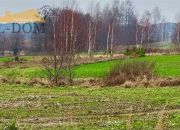 Działka - Białachowo miniaturka 8