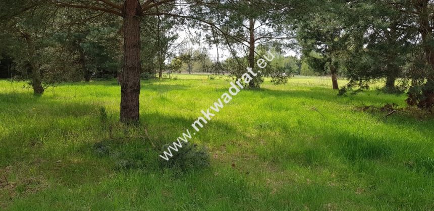 Działka 1352m2 w sąsiedztwie lasu Ojrzanów - zdjęcie 1