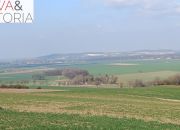 Piękna, otoczona lasem działka w Dobromierzu miniaturka 7
