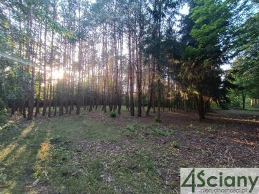 Sulejówek, piękna dzialka z drzewami