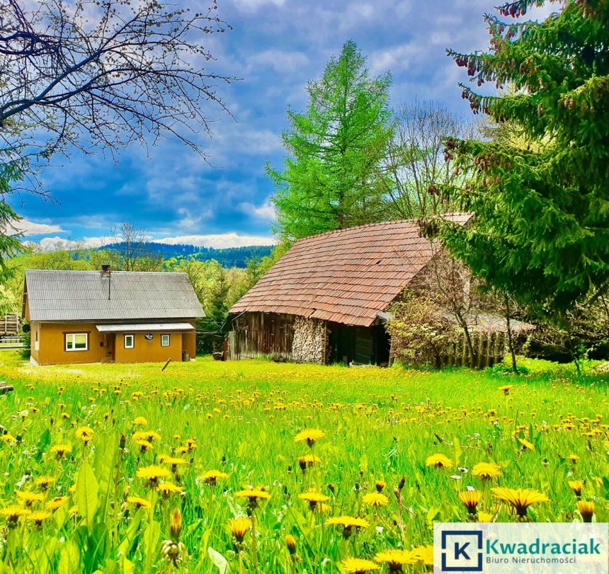 Daliowa, 299 000 zł, 80 m2, wolnostojący miniaturka 4