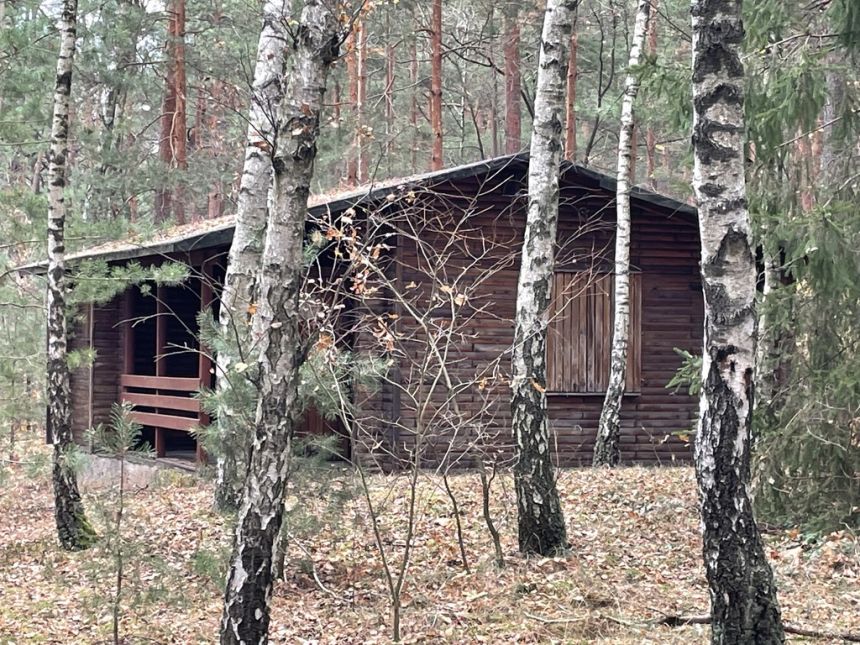 Działka letniskowa z domkiem w lesie 4 km Radzymin miniaturka 15