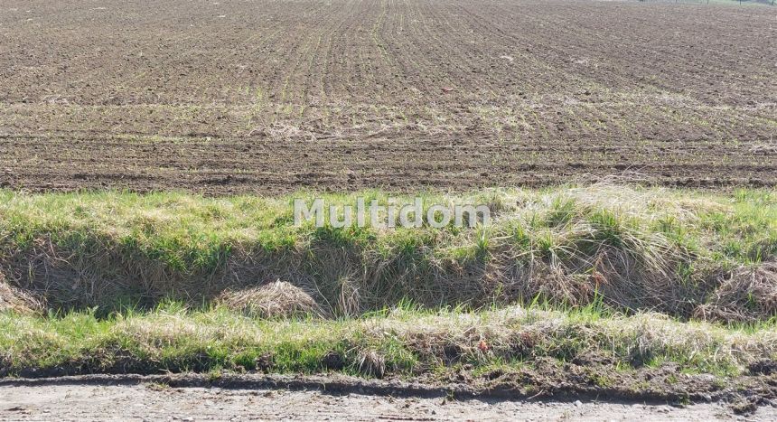 Działka budowlana 12ar Mazańcowice - zdjęcie 1