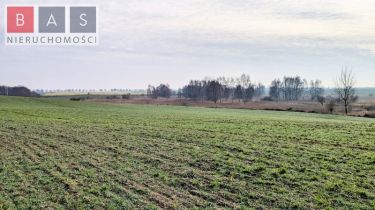 Zamęcin, 89 000 zł, 2.22 ha, prostokątna