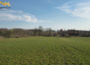 Działka 3333m², z pozwoleniem na budowę, Ogrodniki miniaturka 6