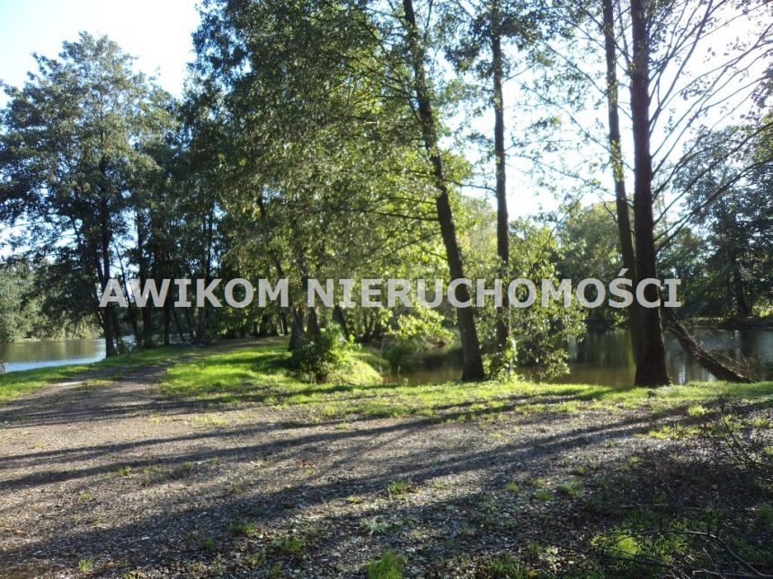 Odrano-Wola, 3 950 000 zł, 5.32 ha, inwestycyjna miniaturka 15