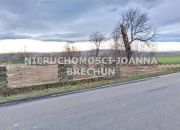 Damianowo / media przy drodze miniaturka 2