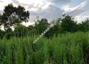 Działka z planem zagospodarowania mkwadrat.eu miniaturka 5
