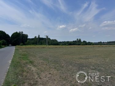 Czarny Las, 120 000 zł, 15 ar, przyłącze prądu