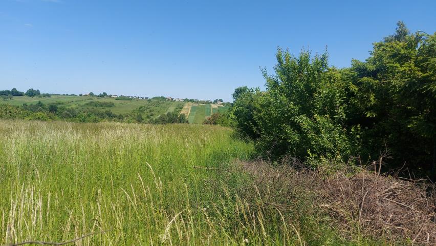 Sadowie, 150 000 zł, 9 ar, droga dojazdowa polna miniaturka 3