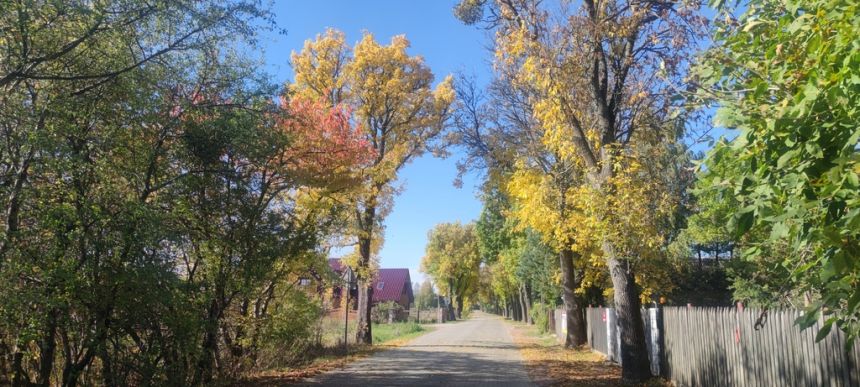 Marianów, 950 000 zł, 30 ar, płaska miniaturka 2