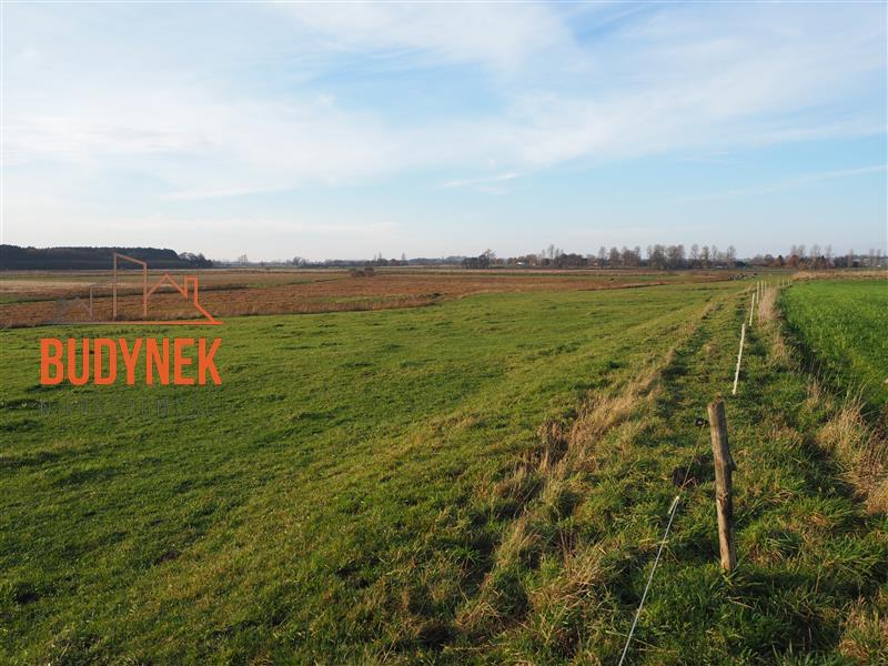 Działka rolna - Krupy miniaturka 8