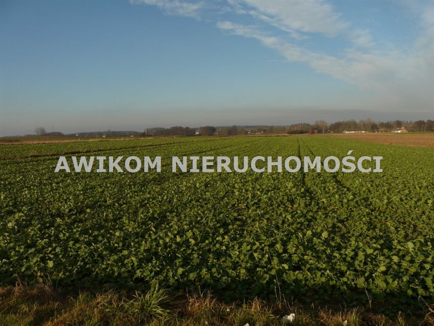 Nowy Dwór-Parcela, 167 000 zł, 1.09 ha, droga dojazdowa asfaltowa miniaturka 2