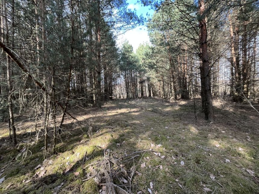 Działka o pow. 2,08 ha w m. Kawęczyn gm. Ciepielów miniaturka 6