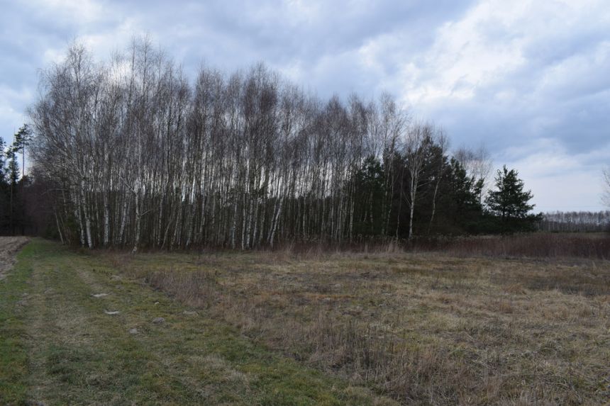 Działka pod zabudowę 55a- Przewrotne miniaturka 11