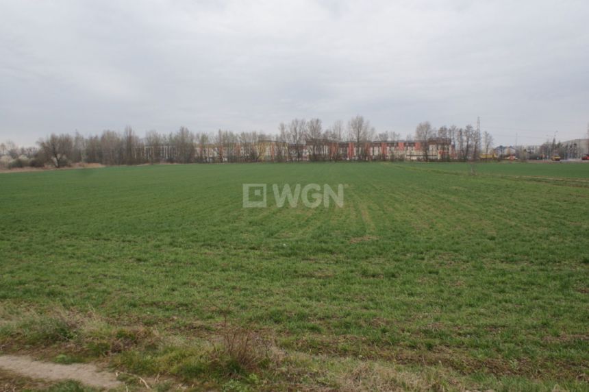 Głogów, 4 842 000 zł, 2.69 ha, inwestycyjna miniaturka 15