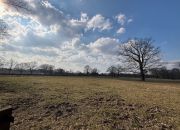 Działka 3,74 ha 30 km od Warszawy, rzeka, las miniaturka 12