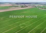 Spółdzielnia rolcznicza 155 ha - pow. poznański miniaturka 42