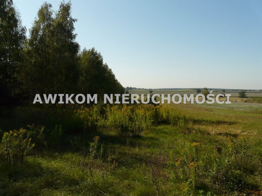 Przewodowice, 113 652 zł, 63.14 ar, droga dojazdowa asfaltowa miniaturka 3
