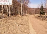 1,2 ha z warunkami zabudowy, pod lasem miniaturka 10
