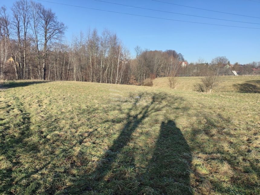 NOWA CENA Duża działka pod lasem miniaturka 3