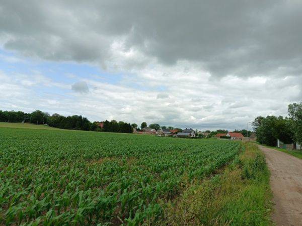 Grunt  na sprzedaż, Podrzewie, 1000.00 m2 miniaturka 3