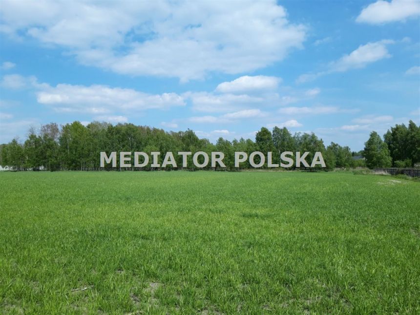 Działka pod Opolem przy lesie miniaturka 3