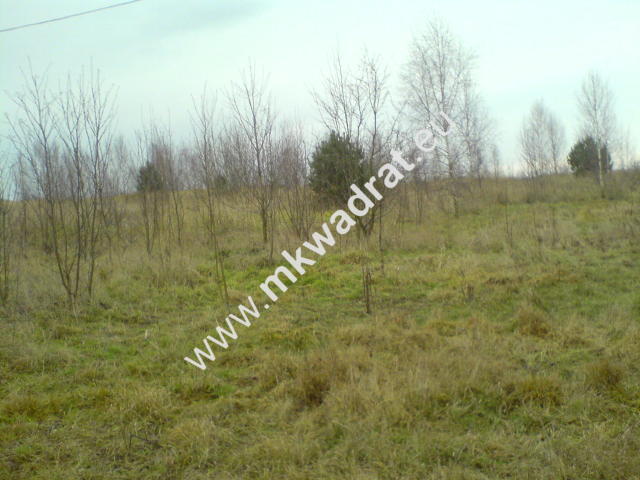 Puszcza Mariańska, 370 000 zł, 1.85 ha, rolna - zdjęcie 1