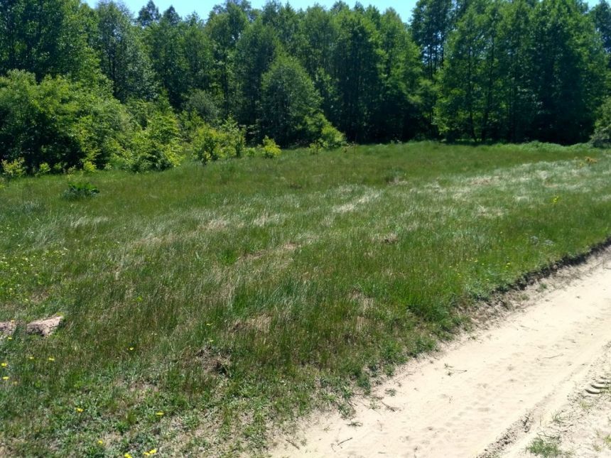 Działka o pow. 25 000 m² pod zabudowę i rekreację. miniaturka 6
