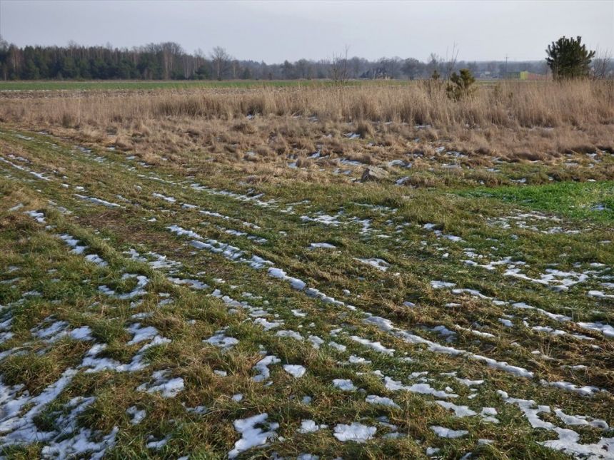 DZIAŁKA ROLNA 1,49 HA, ŁĘKAWA miniaturka 5