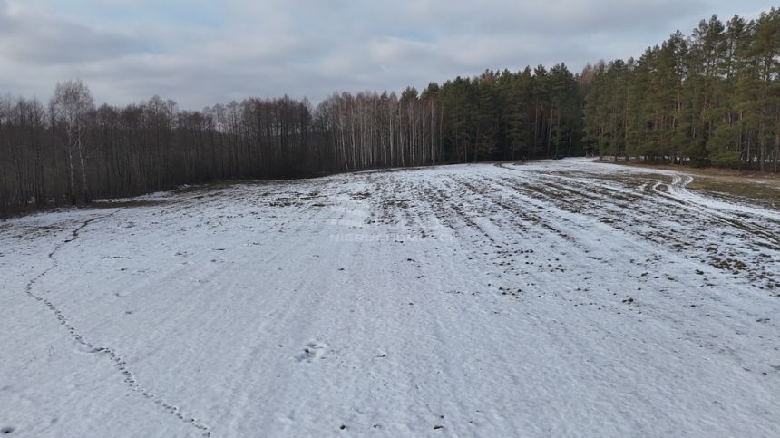 Działka w otulinie lasu niedaleko jeziora Makosiej miniaturka 8