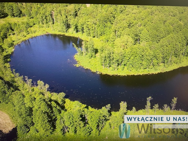 Malinka, 7 500 000 zł, 15 ha, leśna - zdjęcie 1
